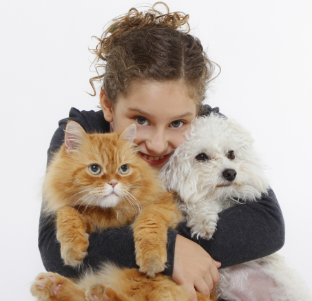 Pies i kot pod jednym dachem? Czy jest możliwa harmonia w domu? 