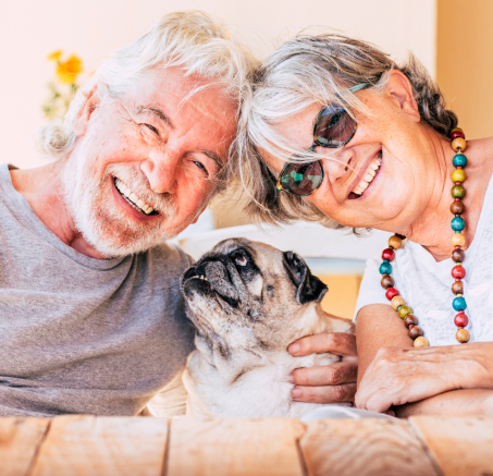 Pieski seniorzy: Jak dbać o starszego psa?