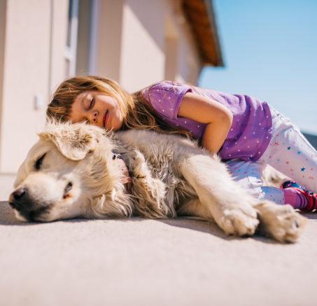 Psy i dzieci: Jak budować bezpieczne i zdrowe relacje?