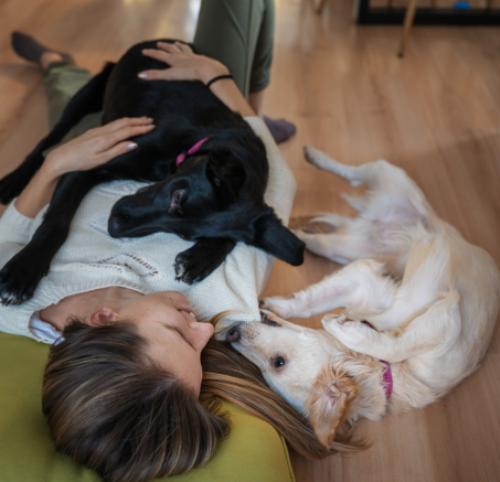 Psychologia psów: Co myśli Twój pies? Wgląd w zachowanie psów i jak poprawić komunikację z Twoim pupilem