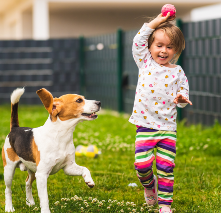 Rola zabawy w życiu psa: klucz do zdrowia i szczęścia