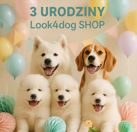 Świętuj z nami i odbierz prezenty - 3. urodziny Look4dog SHOP