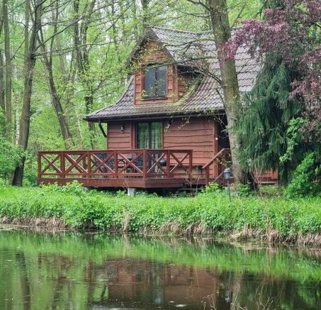 Wakacje z psem w sercu natury – miejsce, gdzie Twój pupil naprawdę odpoczywa. Poznaj Ptasie Sioło