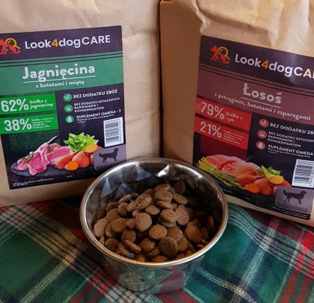 Zbilansowana dieta dla twojego psa: jak wybrać najlepszą karmę?