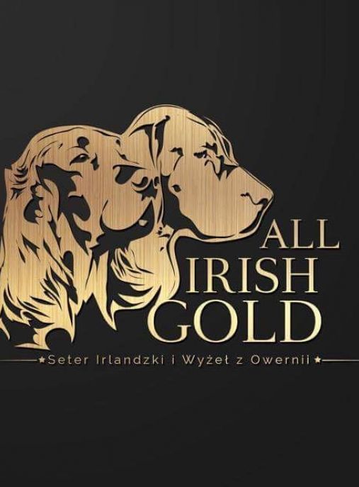All Irish Gold