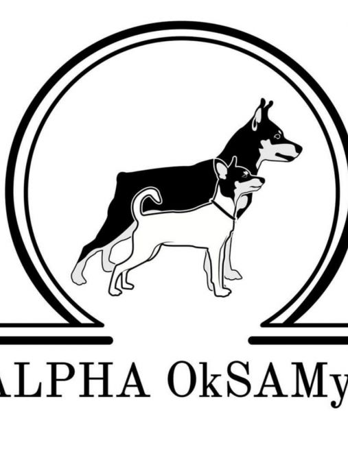 ALPHA OkSAMyt