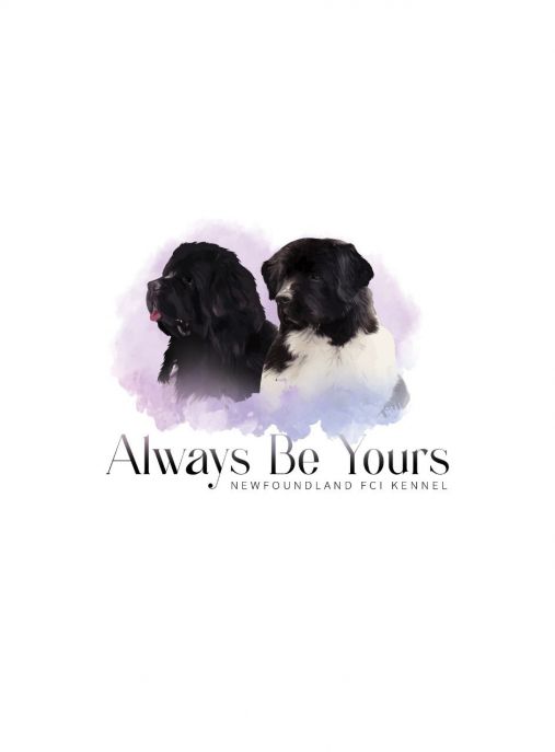 Always Be Yours 