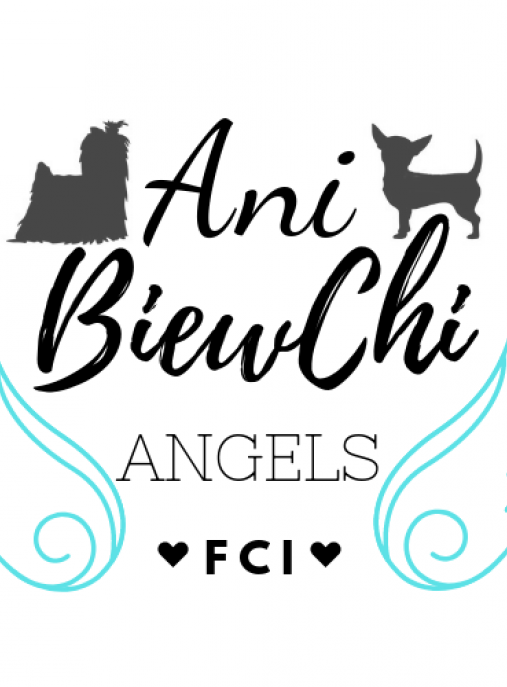 Ani BiewChi Angels