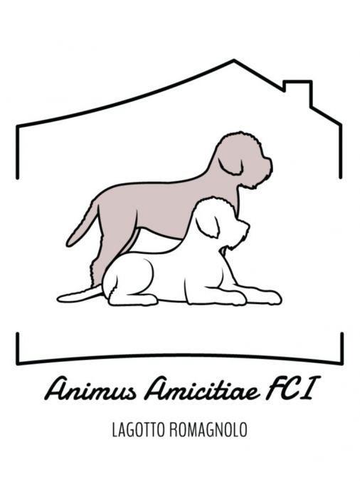 Animus Amicitiae FCI