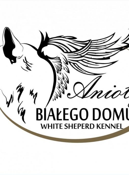 ANIOŁY BIAŁEGO DOMU