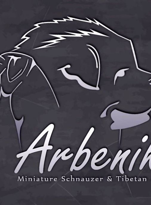 Arbenika