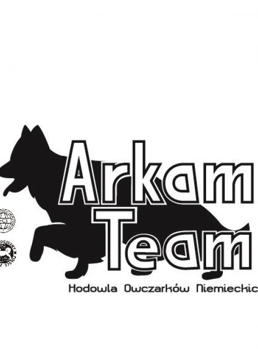 Arkam Team FCI