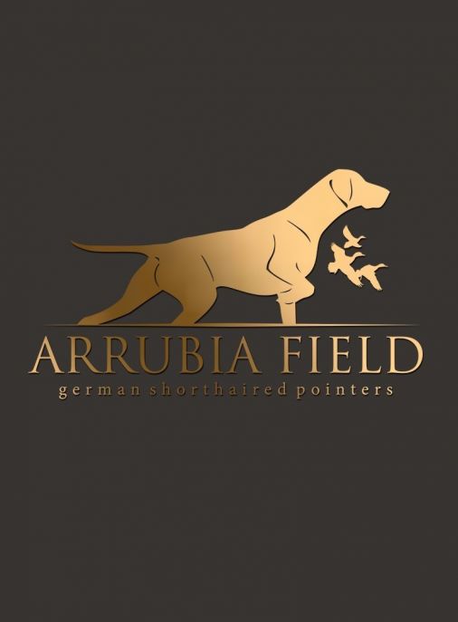 Arrubia Field