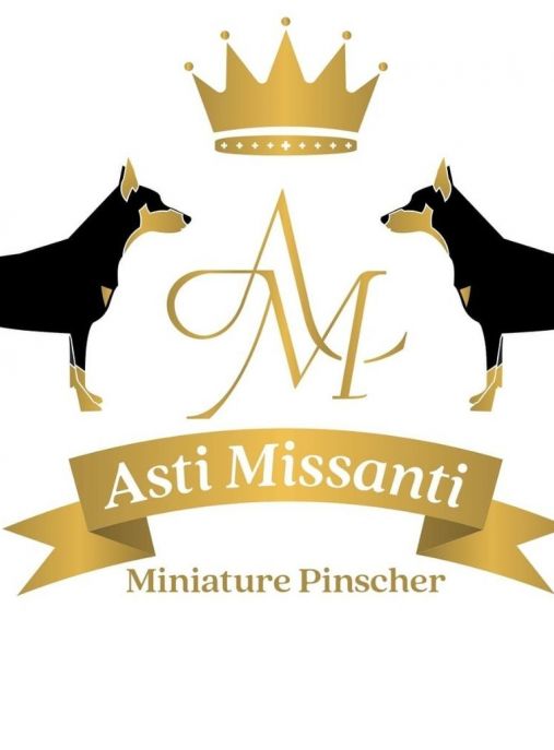 Asti Missanti FCI 