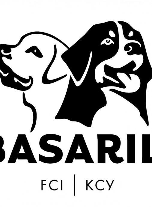 Basarili