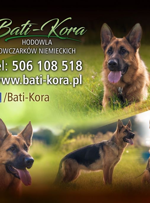 Bati-Kora