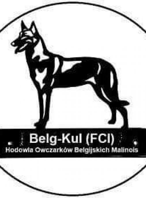 Belg-Kul