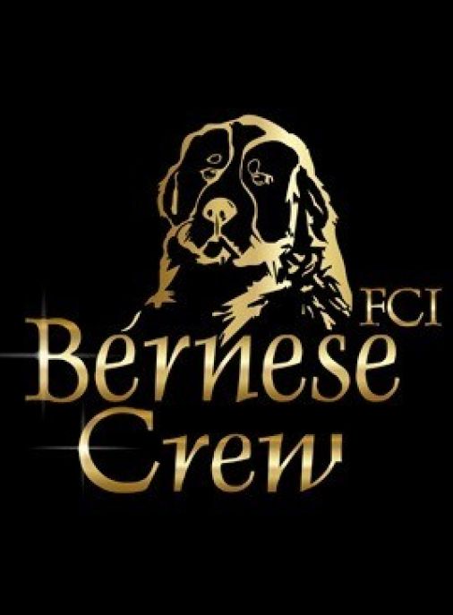 Bernese Crew FCI