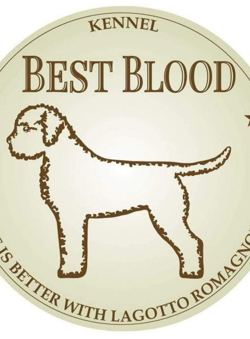 Best Blood 