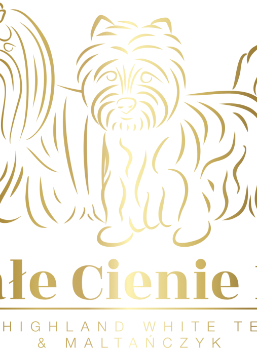 Białe Cienie