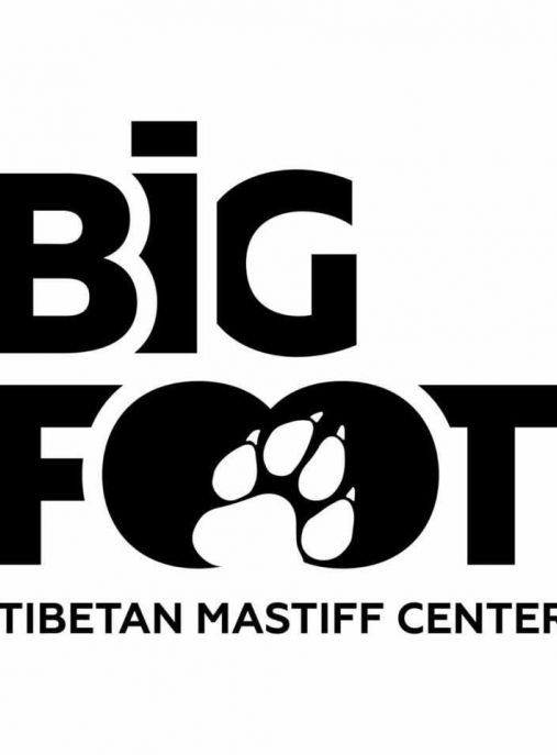 Big foot