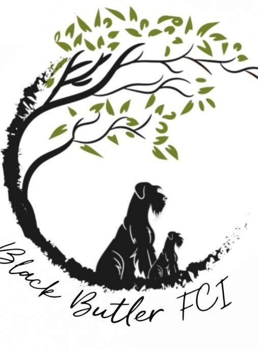 Black Butler FCI