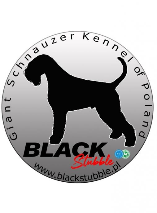 Black Stubble (FCI)