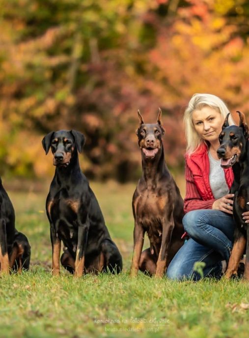 Błekitny Kanion FCI