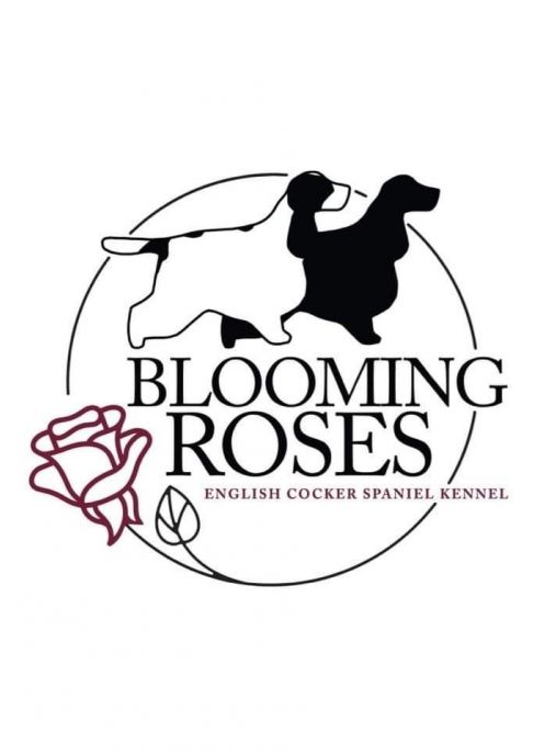 Blooming Roses FCI