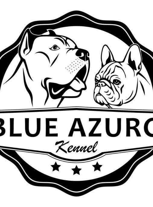 Blue Azuro Kennel