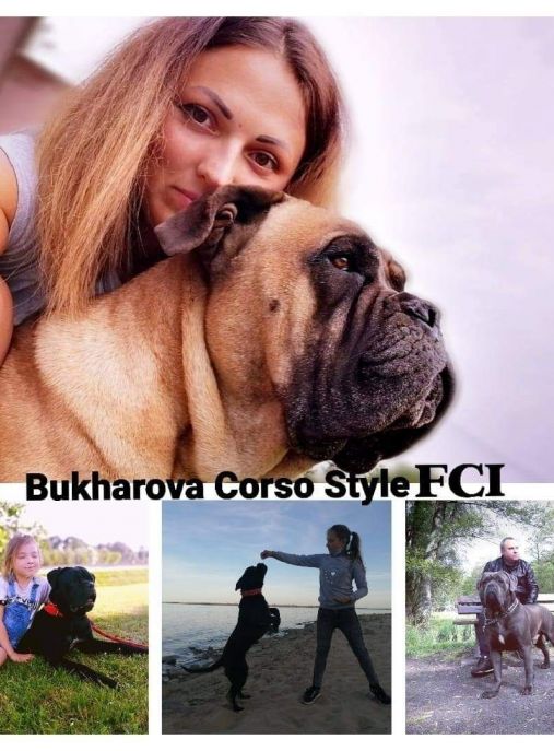 Bukharova Corso Style