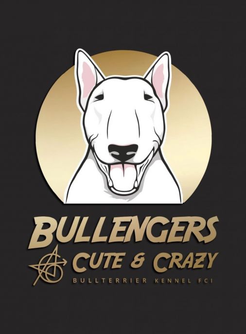 Bullengers - Cute & Crazy