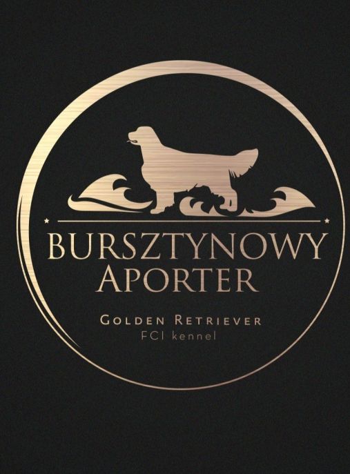 Bursztynowy Aporter (FCI)