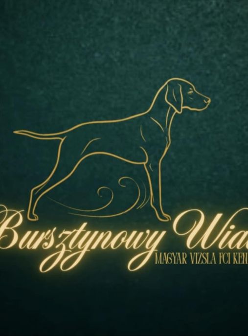 Bursztynowy Wiatr FCI 