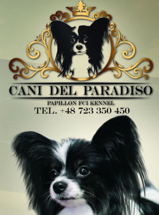 Cani Del Paradisio 