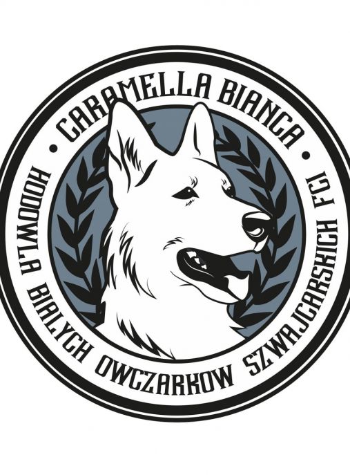 Caramella Bianca Hodowla Białych Owczarków Szwajcarskich FCI