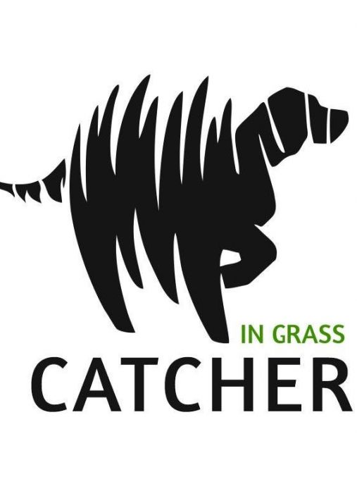 Catcher in Grass