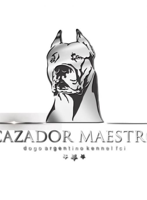 Cazador Maestro FCI 