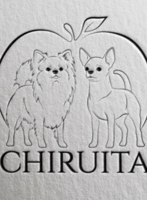 Chiruita