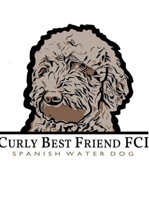 Curly Best Friend FCI 