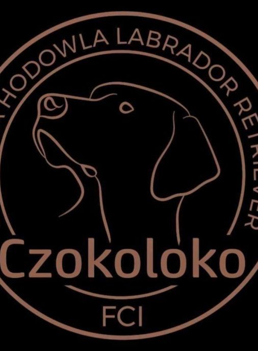 Czokoloko FCI