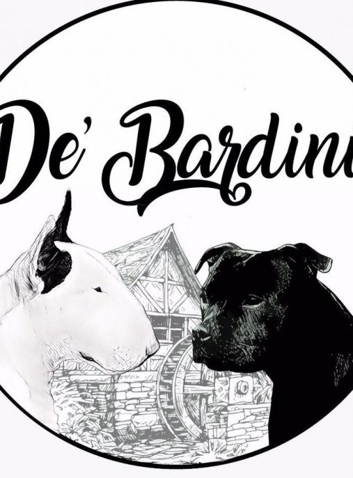 De' Bardini