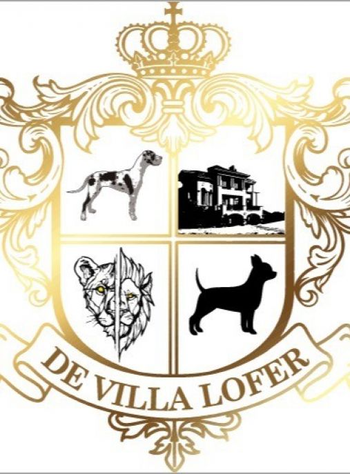 De Villa Lofer