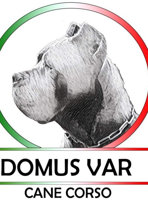 Del Domus Var