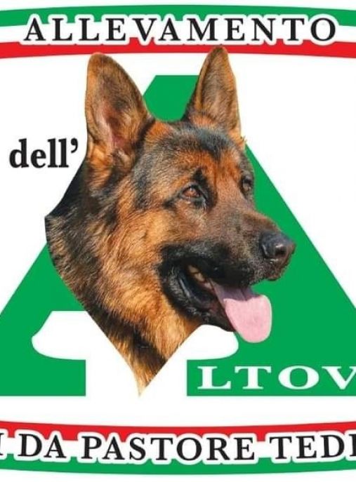 Dell'Altovir 