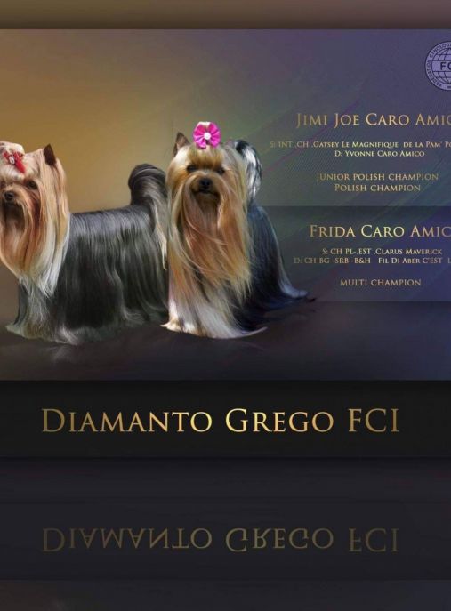 Diamanto Grego FCI 