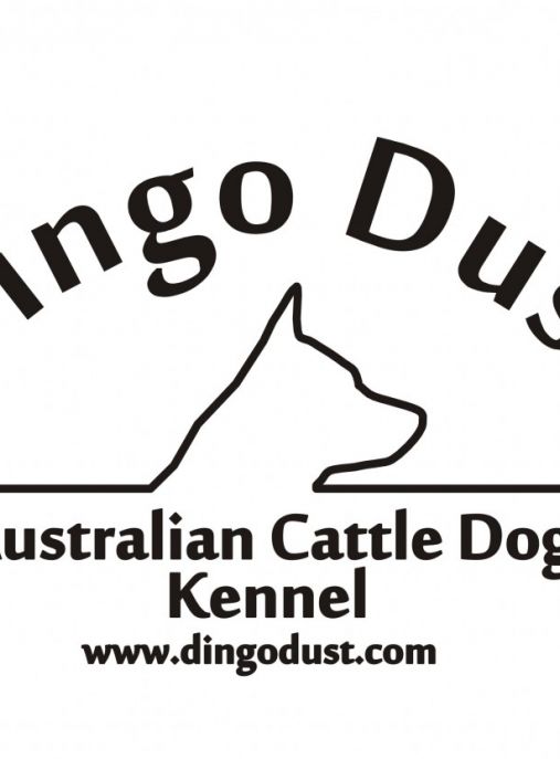 Dingo Dust