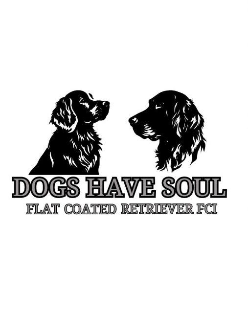 DOGS HAVE SOUL