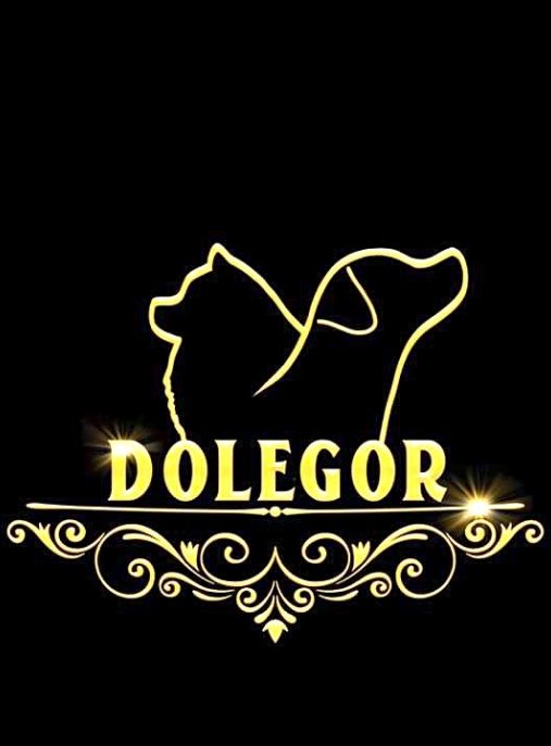 Dolegor