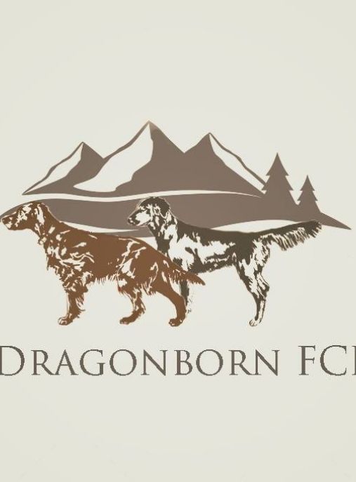 Dragonborn